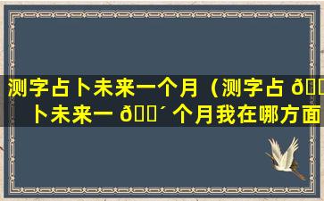 测字占卜未来一个月（测字占 🕸 卜未来一 🌴 个月我在哪方面可以成功）